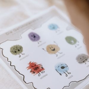 Die Gef&uuml;hlslandkarte - Emotionen sichtbar machen (MINI)